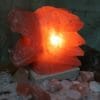 Crafted Himalayan Dragon Head Salt Lamp
