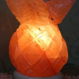 Pineapple Salt Lamp 6 Crafted Himalayan Pineapple Salt Lamp