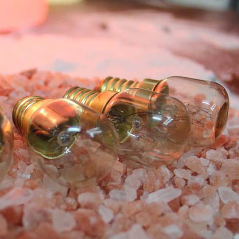 Replacement Bulbs for Himalayan Salt Lamps | Himalayan Salt Factory