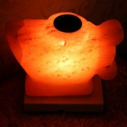 Aladdin Oil Salt Lamp (12V - 12W) 9 Crafted Aladdin Oil Salt Lamp