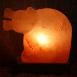 Hippo Salt Lamp 6 Crafted Himalayan Hippo Salt Lamp