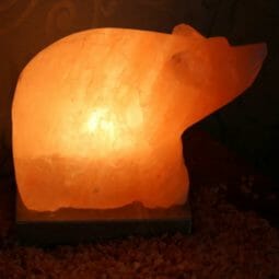 Crafted Bear Salt Lamp