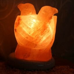 Crafted Himalayan Lovebirds Salt Lamp