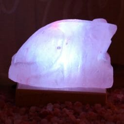 USB Frog Salt Lamp 10