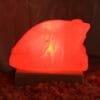 USB Frog Salt Lamp 3