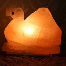 Camel Salt Lamp 9