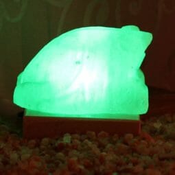 USB Frog Salt Lamp 8
