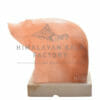 Crafted Himalayan Bear Salt Lamp