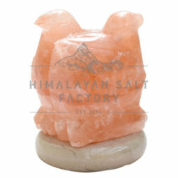 Crafted Himalayan Lovebirds Salt Lamp
