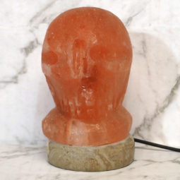 USB Skull Salt Lamp 11 USB Skull Salt Lamp