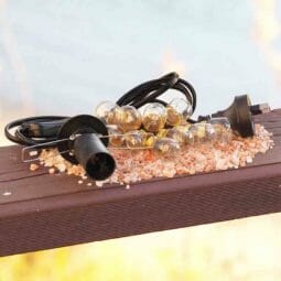 Black Lamp Cord + 10 Bulbs (15W)