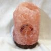 2.15kg Tree Of Life Gemstone Salt Lamp - Timber Base [TOL164]