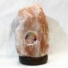 2.30kg Tree Of Life Gemstone Salt Lamp - Timber Base [TOL152]
