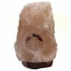 2.40kg Tree Of Life Gemstone Salt Lamp - Timber Base [TOL154]