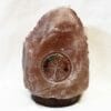2.45kg Tree Of Life Gemstone Salt Lamp - Timber Base [TOL153]