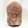 2.50kg Tree Of Life Gemstone Salt Lamp - Timber Base [TOL155]