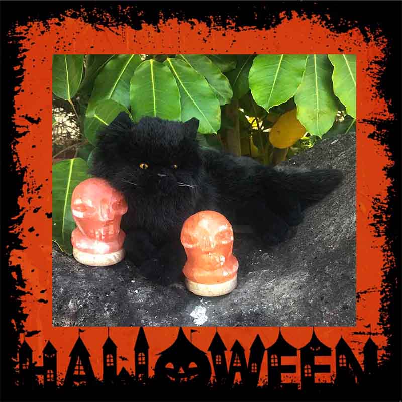 Halloween Special Usb Scull Salt Lamp 4 Halloween Special Usb Scull Salt Lamp