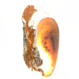 0.83kg Agate Crystal Lamp [CRY212] | Himalayan Salt Factory