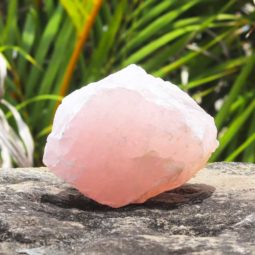 1kg Healing Rose Quartz Rough [1 UNIT] | Himalayan Salt Factory