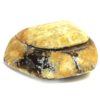 Agate Jewelry Box 2