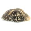 Agate Jewelry Box 3