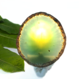 Agate Slice Night Light – Green