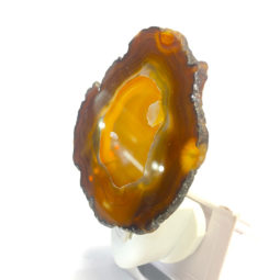 Agate Slice Night Light – Orange