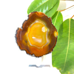 Agate Slice Night Light – Orange