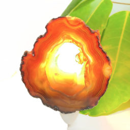 Agate Slice Night Light – Orange