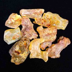Amber Peru – 9 Units