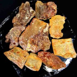 Amber Peru – 9 Units