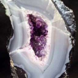 Amethyst Geode 3 [CRY286]