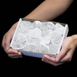 Clear Crystal Quartz Tray Terminated Point