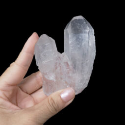 Clear Quartz Crystal Specimen - Small | Crystal Factory