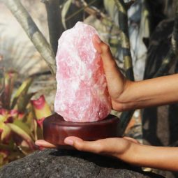 Rose Quartz Crystal Lamp [CRY74] Himalayan Salt Factory
