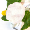 White Quartz Slice Night Light