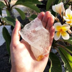 0.25kg Polished Crystal Coaster [3 Pieces] | Himalayan Salt Factory