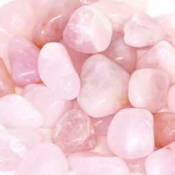 15kg Rose Quartz Tumbled Polished Parcel | Himalayan Salt Factory