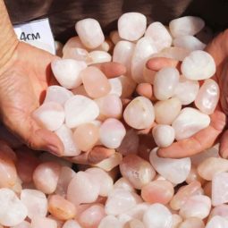 20kg Rose Quartz Creamy Tumbled Polished | Himalayan Salt Factory