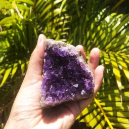 Raw Natural Amethyst Mixed Pieces – 3 Units [MIX08] | Himalayan Salt Factory