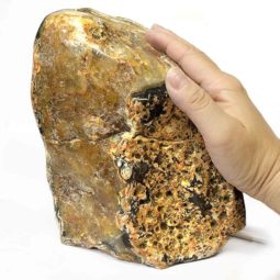 4.15kg Fire Agate Crystal Lamp S116 7 Fire Agate Crystal Lamp S116-2 | Himalayan Salt Factory