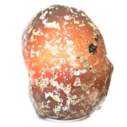 River Agate Crystal Lamp S96 | Himalayan Salt Factory