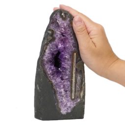 Amethyst Crystal Geode Specimen DS111-2 | Himalayan Salt Factory