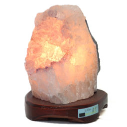 Amethyst Crystal Lamp DS7-1 | Himalayan Salt Factory