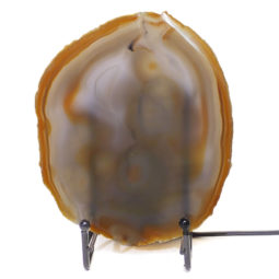 Sliced Brazilian Crystal Agate Lamp S293 | Himalayan Salt Factory