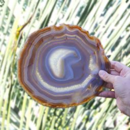 Natural Agate Plate J438 6 Natural Agate Plate J438 | Himalayan Salt Factory