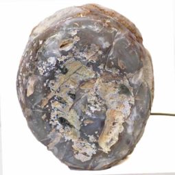 River Agate Crystal Lamp J558 | Himalayan Salt Factory