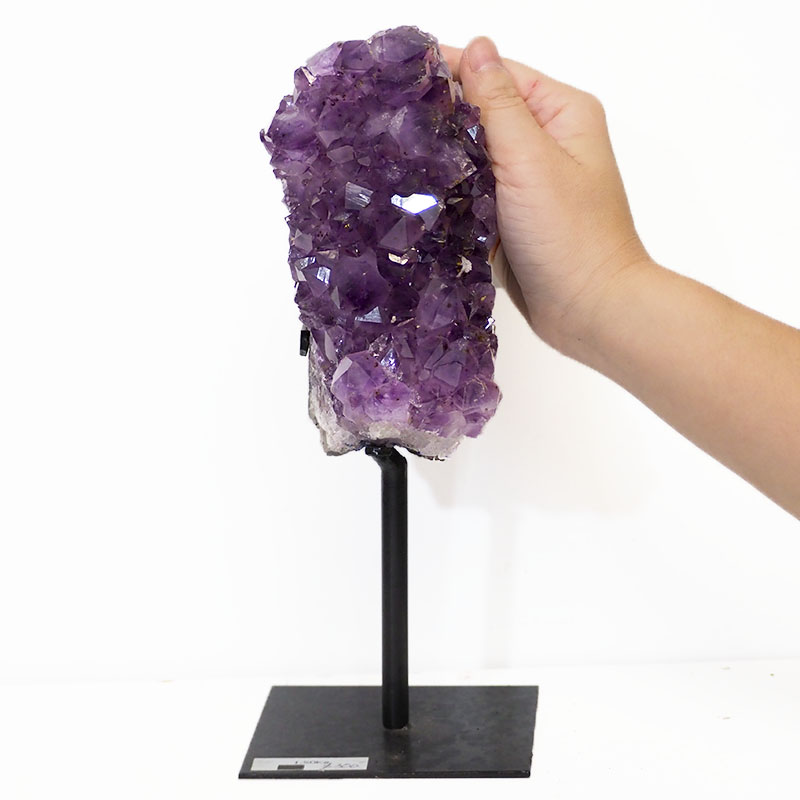 1.5kg Amethyst Cluster With Custom Metal Stand DS215 5 Amethyst Cluster With Custom Metal Stand DS215-2 | Himalayan Salt Factory