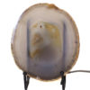 Sliced Brazilian Crystal Agate Lamp J627 | Himalayan Salt Factory