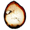 Agate Night Lights J874 | Himalayan Salt Factory